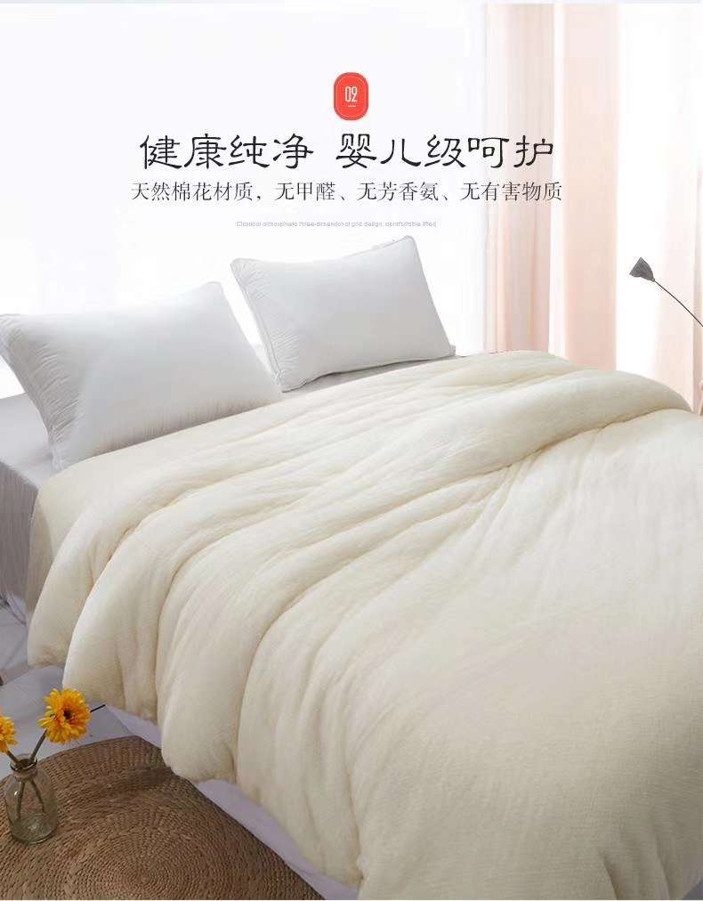 Xinjiang Cotton Winter Quilt details Picture