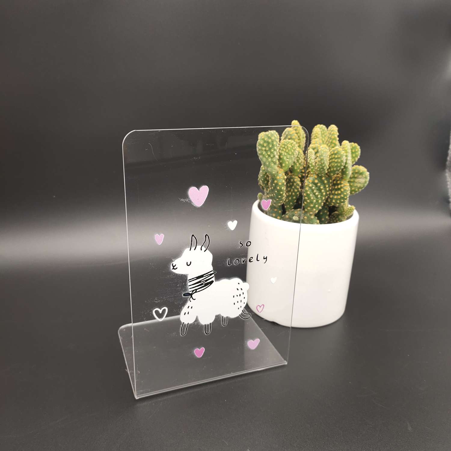 Transparent acrylic alpaca bookcase details Picture