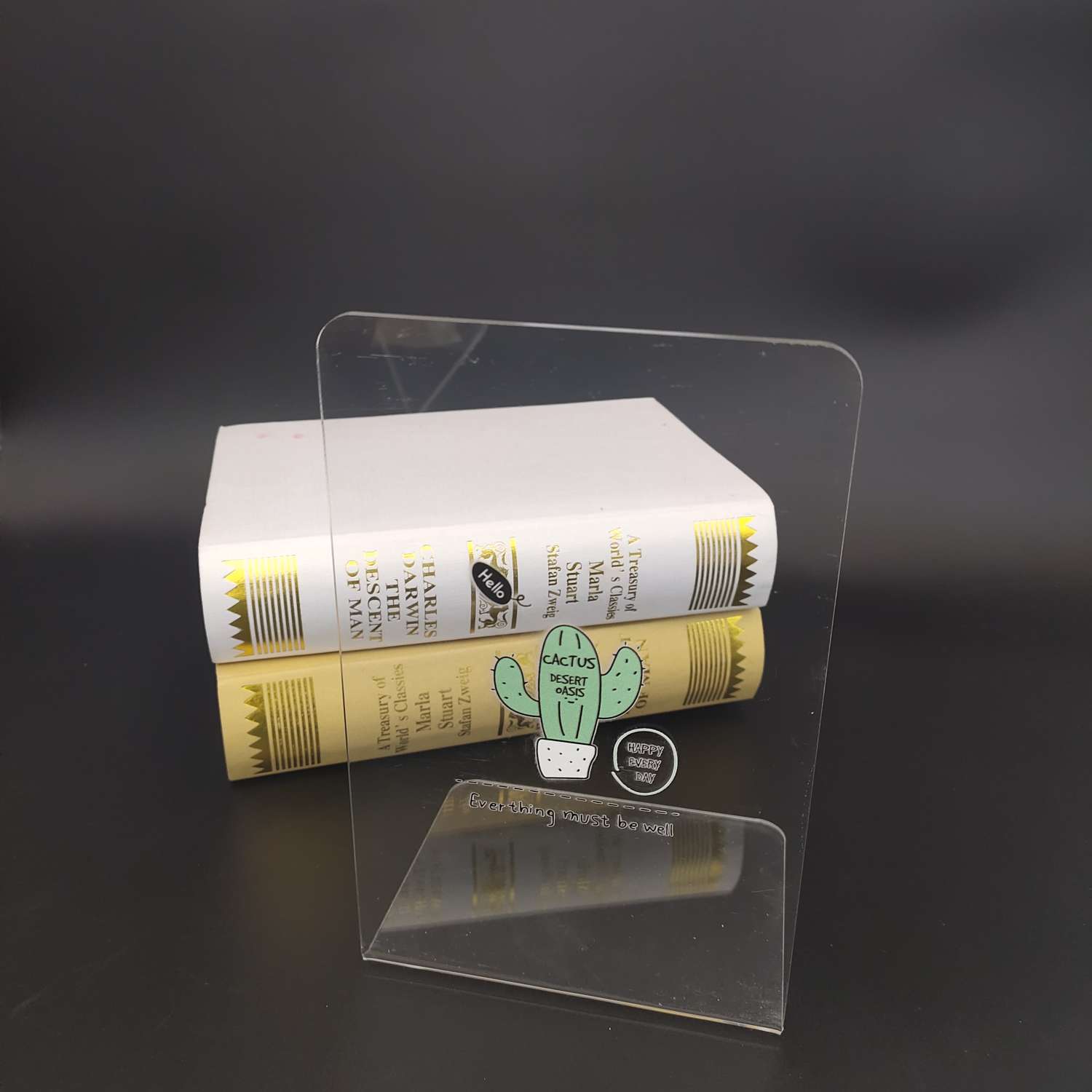 Acrylic cactus transparent bookstand Application Scenario