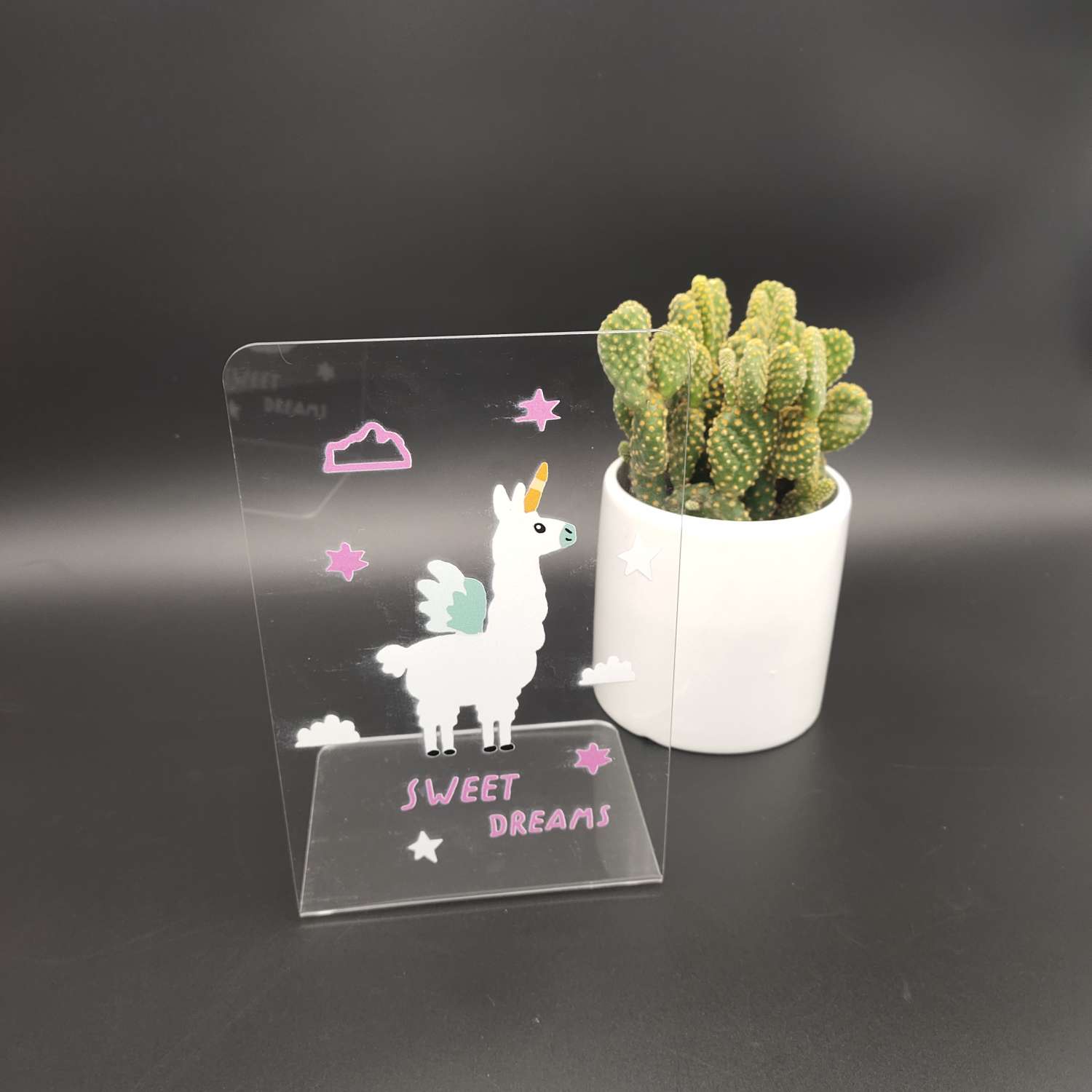 Transparent acrylic alpaca bookcase Application Scenario