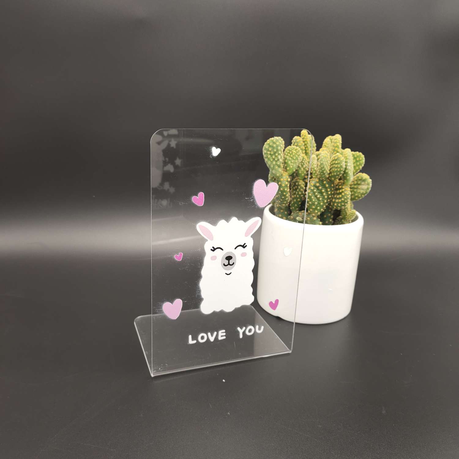 Transparent acrylic alpaca bookcase Item Picture