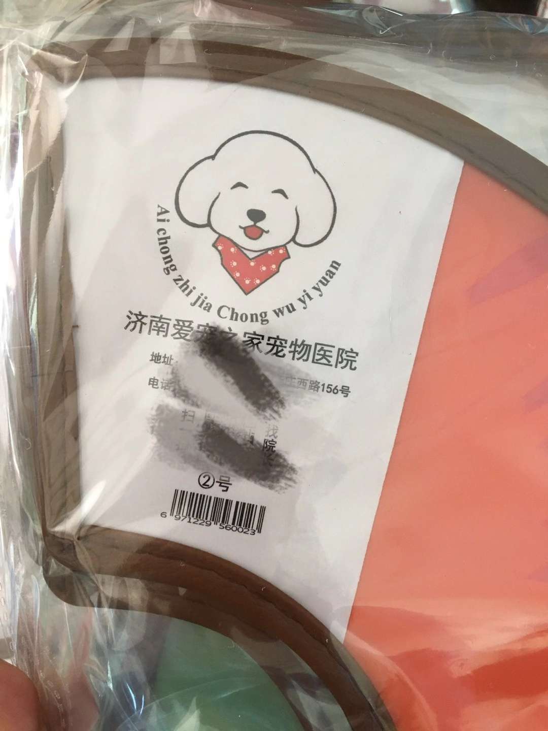 伊丽莎白圈/伊丽莎白脖圈/宠物用品白底实物图