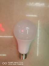 LED球泡  220V 5W E27白光