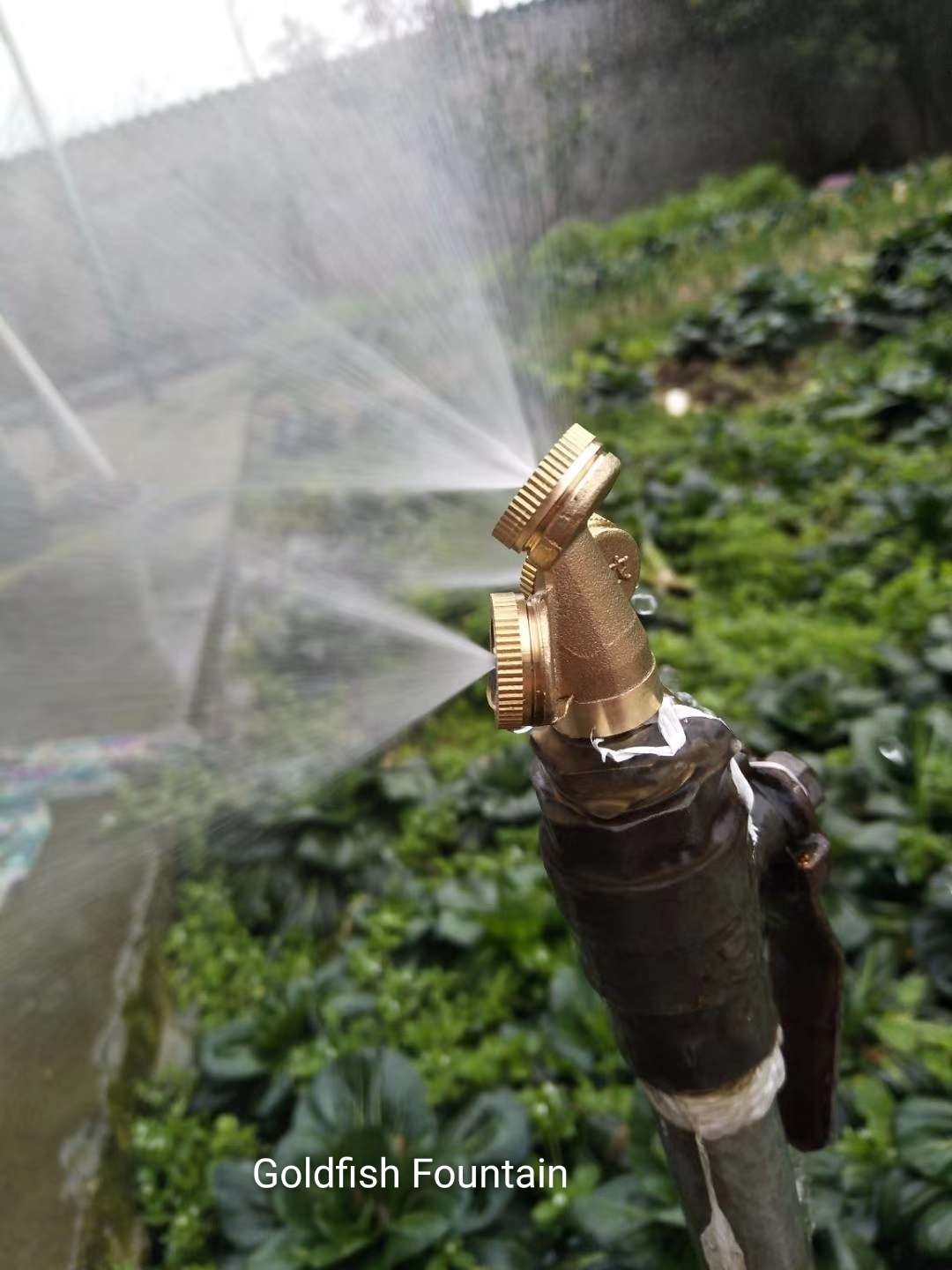照明细节图