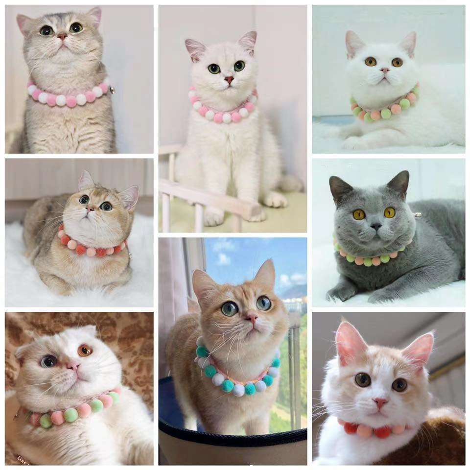 精美包装爆款来了价格优势，精美包装