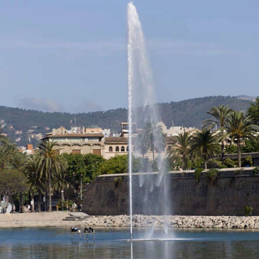 金鱼喷泉喷头，不锈钢直流喷头，19297。产品图