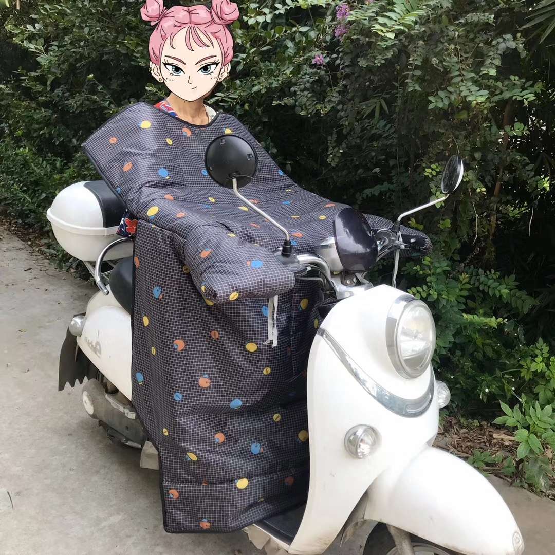 厂家直销电动车挡风被冬季护腿保暖加厚防寒防水电瓶车护膝防风被细节图