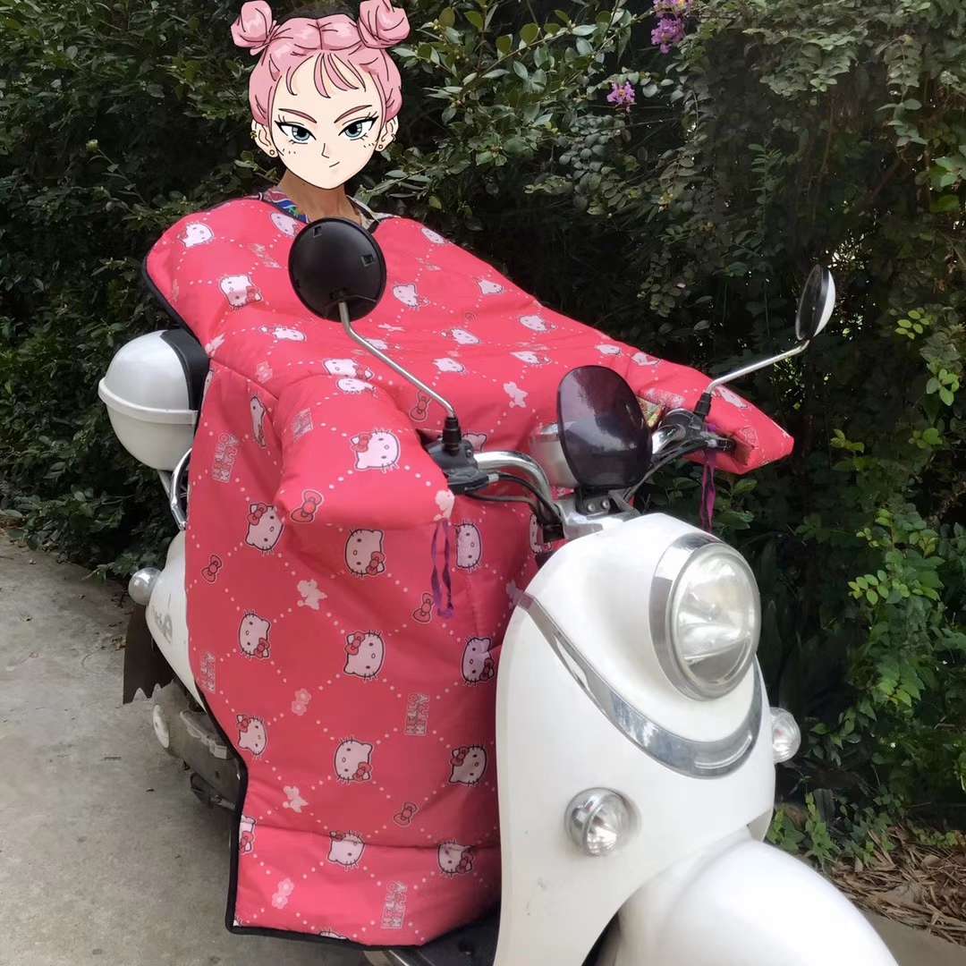 厂家直销电动车挡风被冬季护腿保暖加厚防寒防水电瓶车护膝防风被详情图10