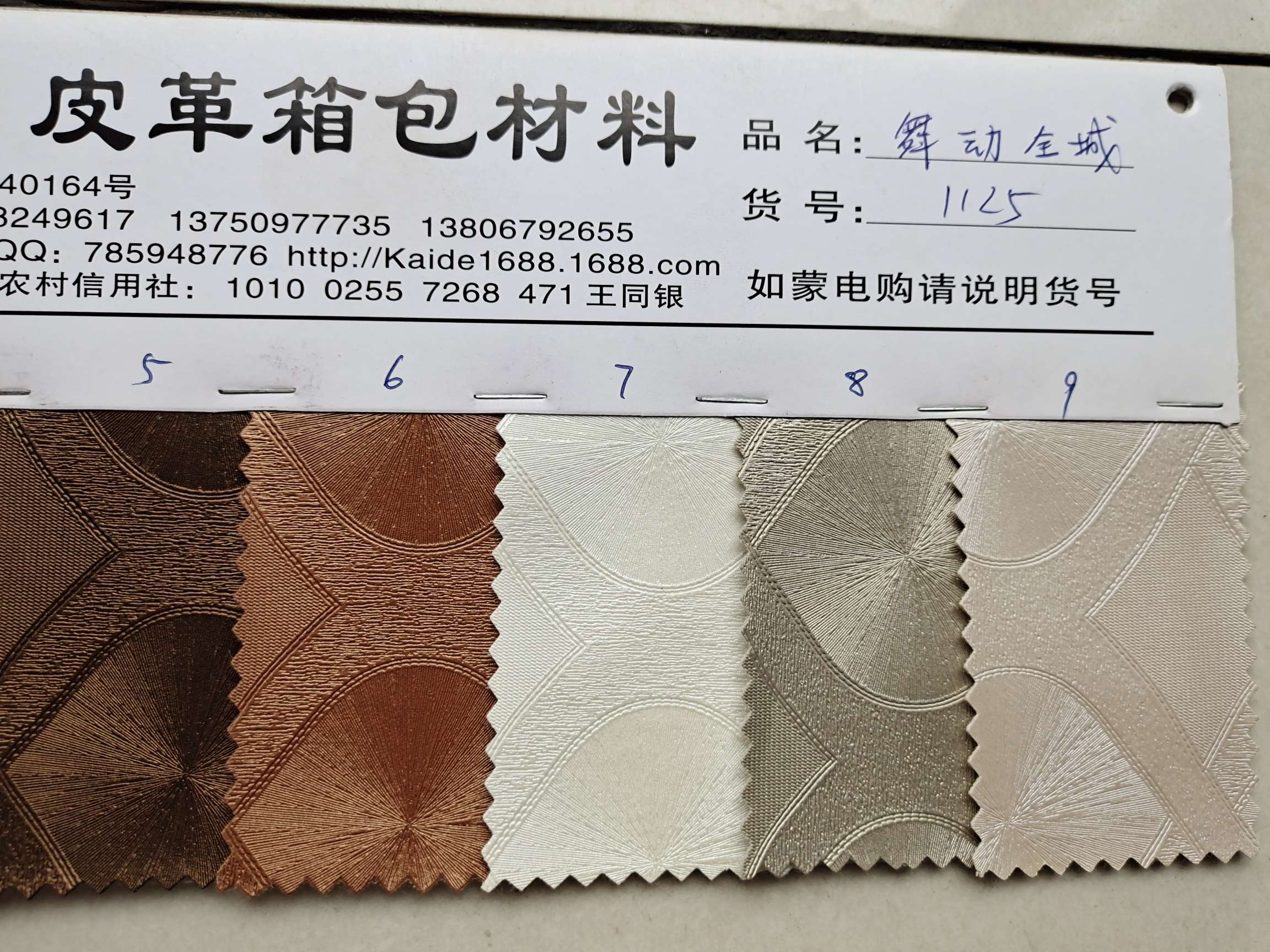 舞动全城