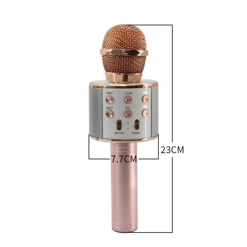 The karaoke powerhouse features a Bluetooth speaker and microphone integrated into one Specification image