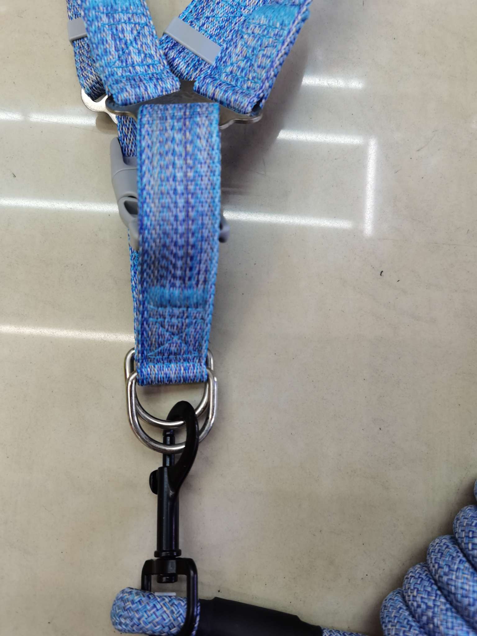 狗狗牵引实物图