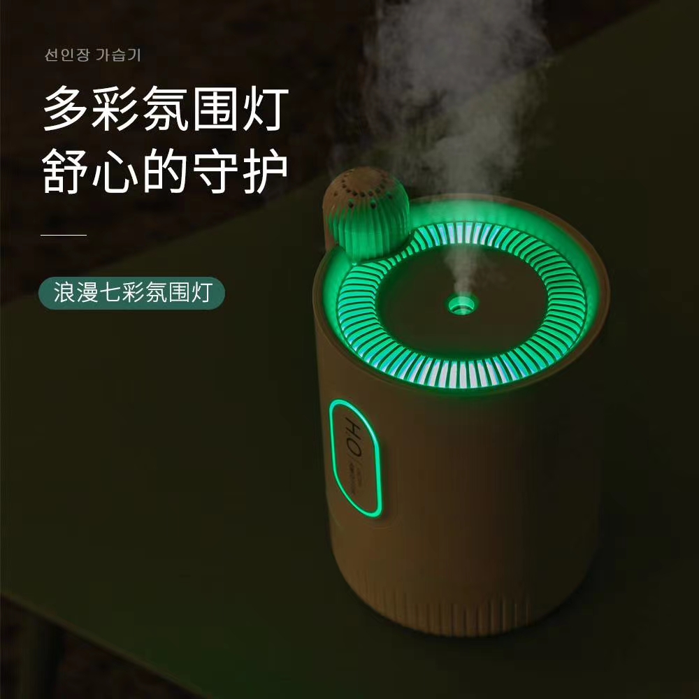 Cactus humidifier Item Picture