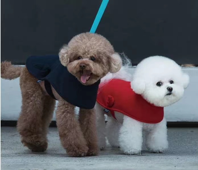 Sniff new big dog for fall and winter
Fashion loose shawl shawl
Color: Dark blue/red
Size: S-XXL