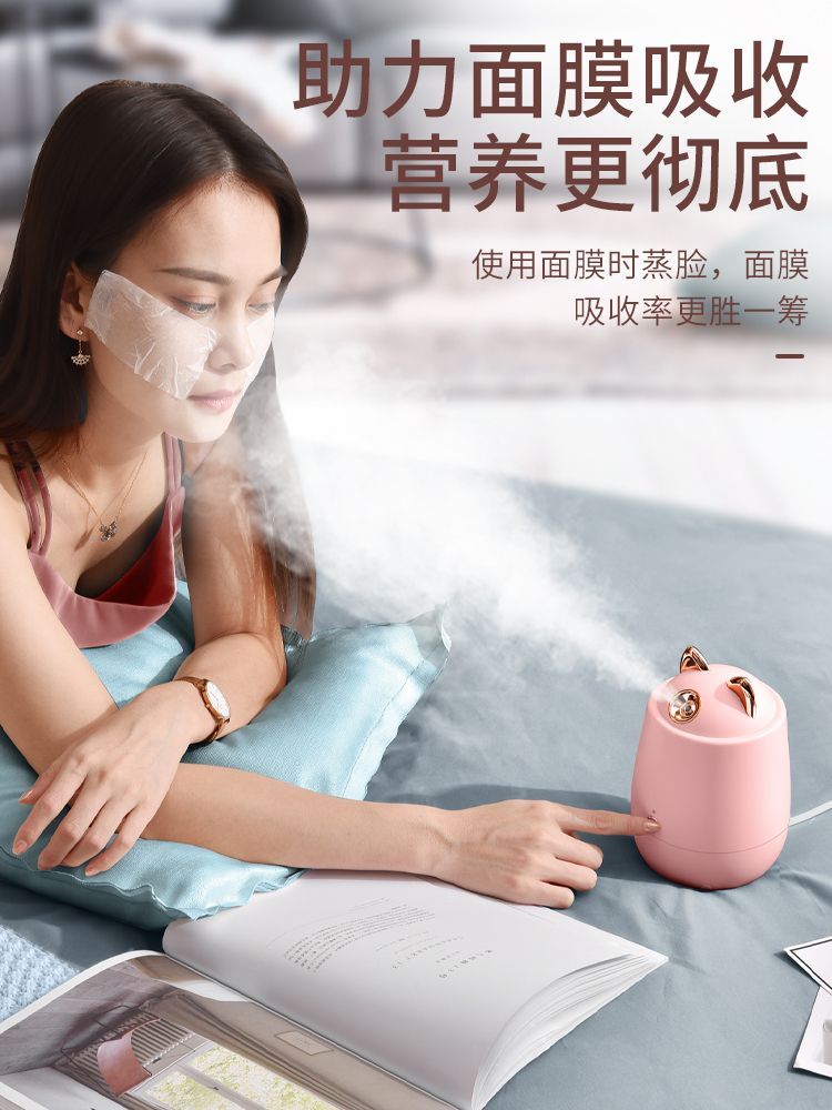 Thermal spray humidifier undefined