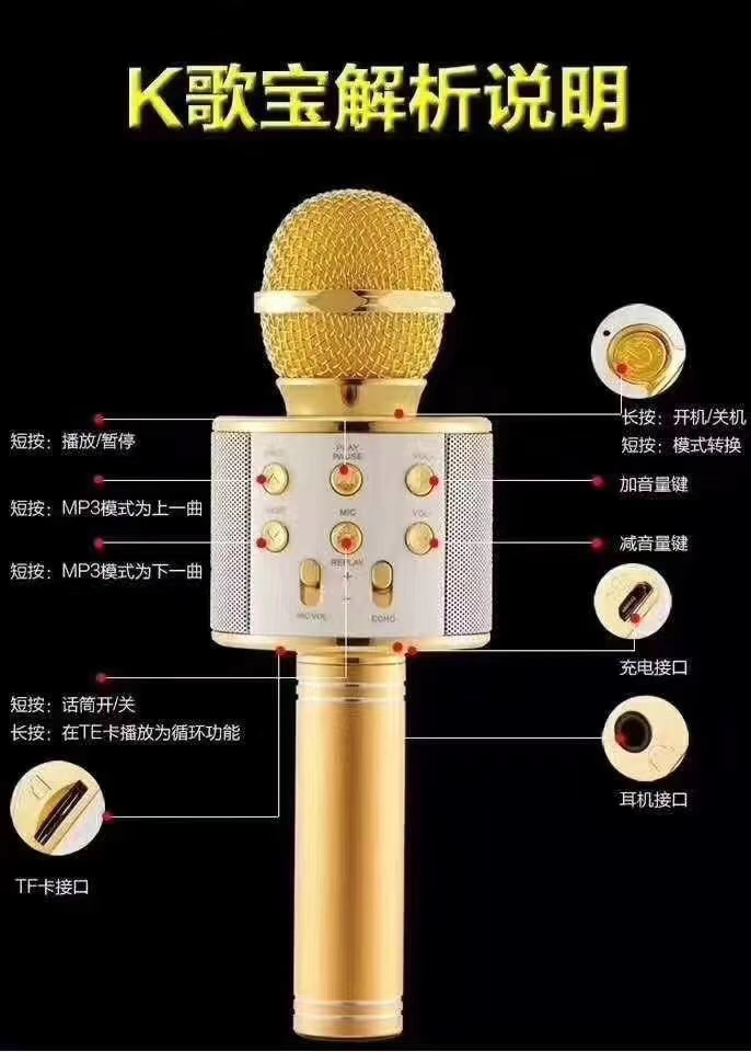 The karaoke powerhouse features a Bluetooth speaker and microphone integrated into one Application Scenario