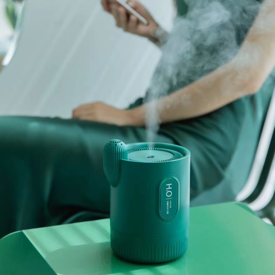 Cactus humidifier undefined