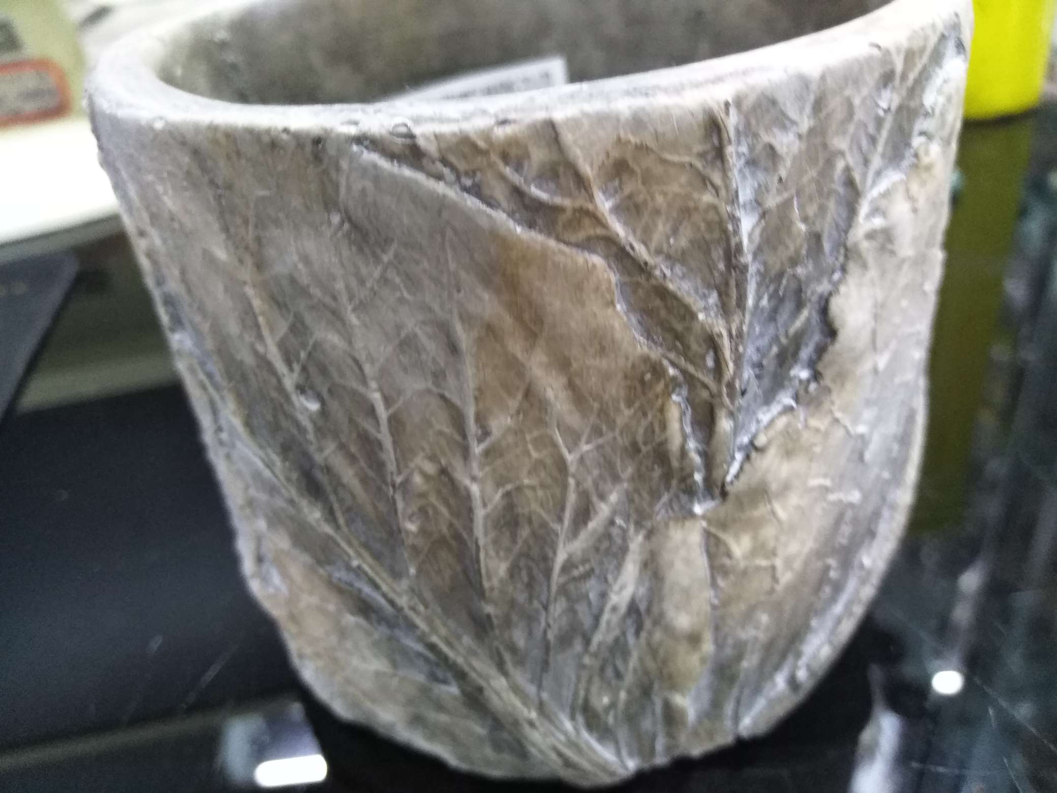 Water Pot 009