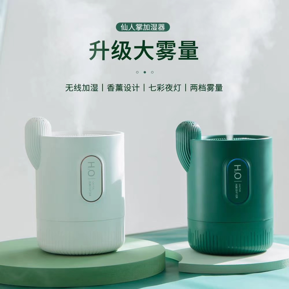 Cactus humidifier