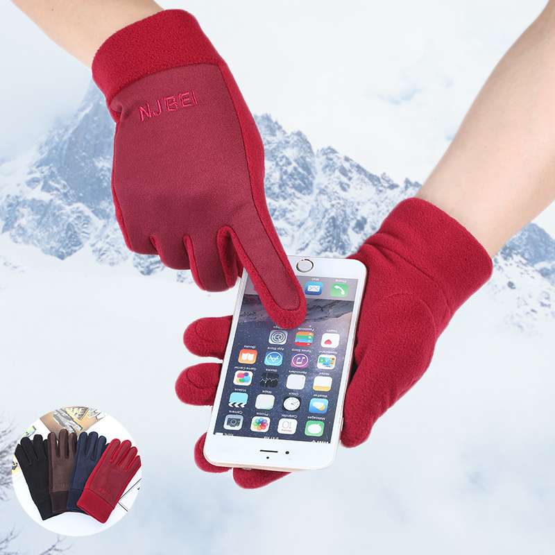 厂家直销 秋冬麂皮绒摇粒绒触屏手套 户外骑行抓绒手套 可定制logo 保暖防风防寒女士刺绣手套