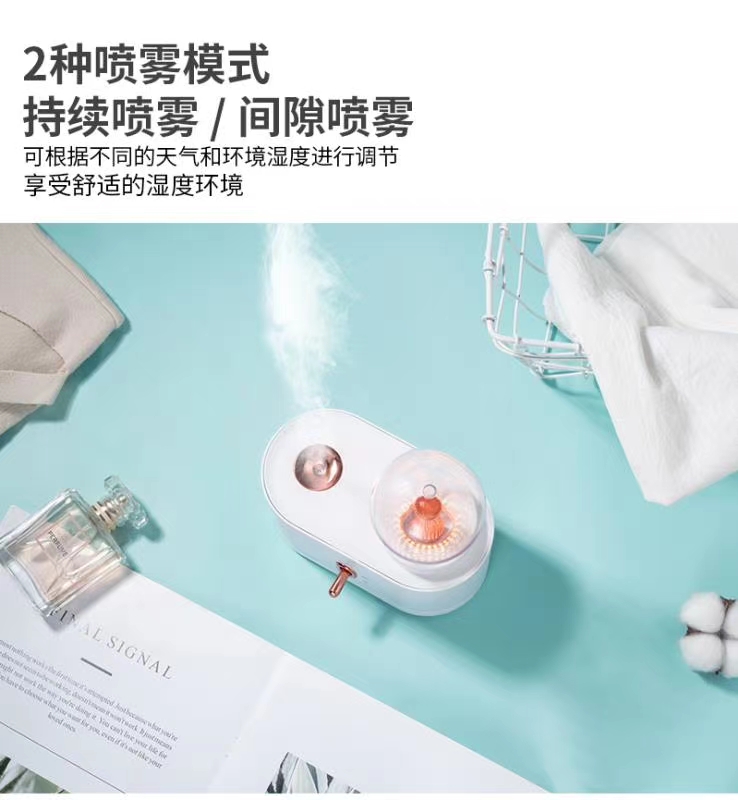 Qianxun Lamp humidifier undefined