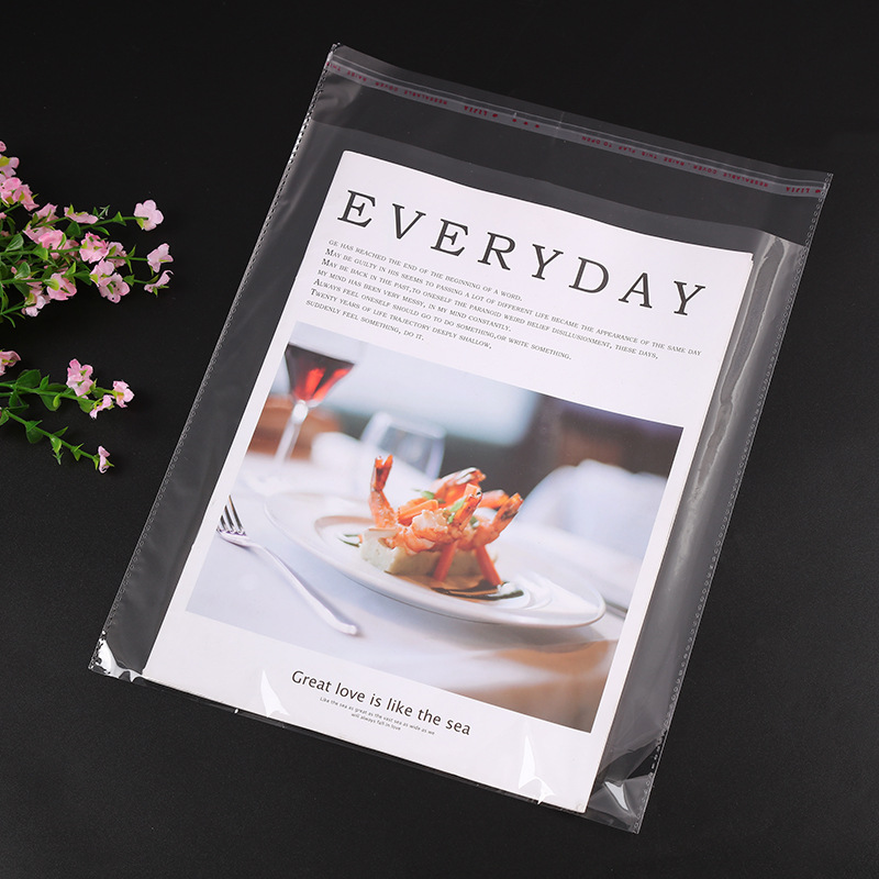 100 pieces of 6*9 opp packaging bags for clothing Application Scenario