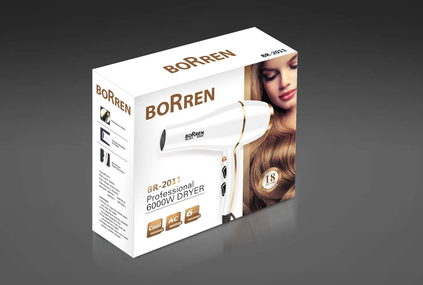 Hair dryer, electric hair dryer, 2011