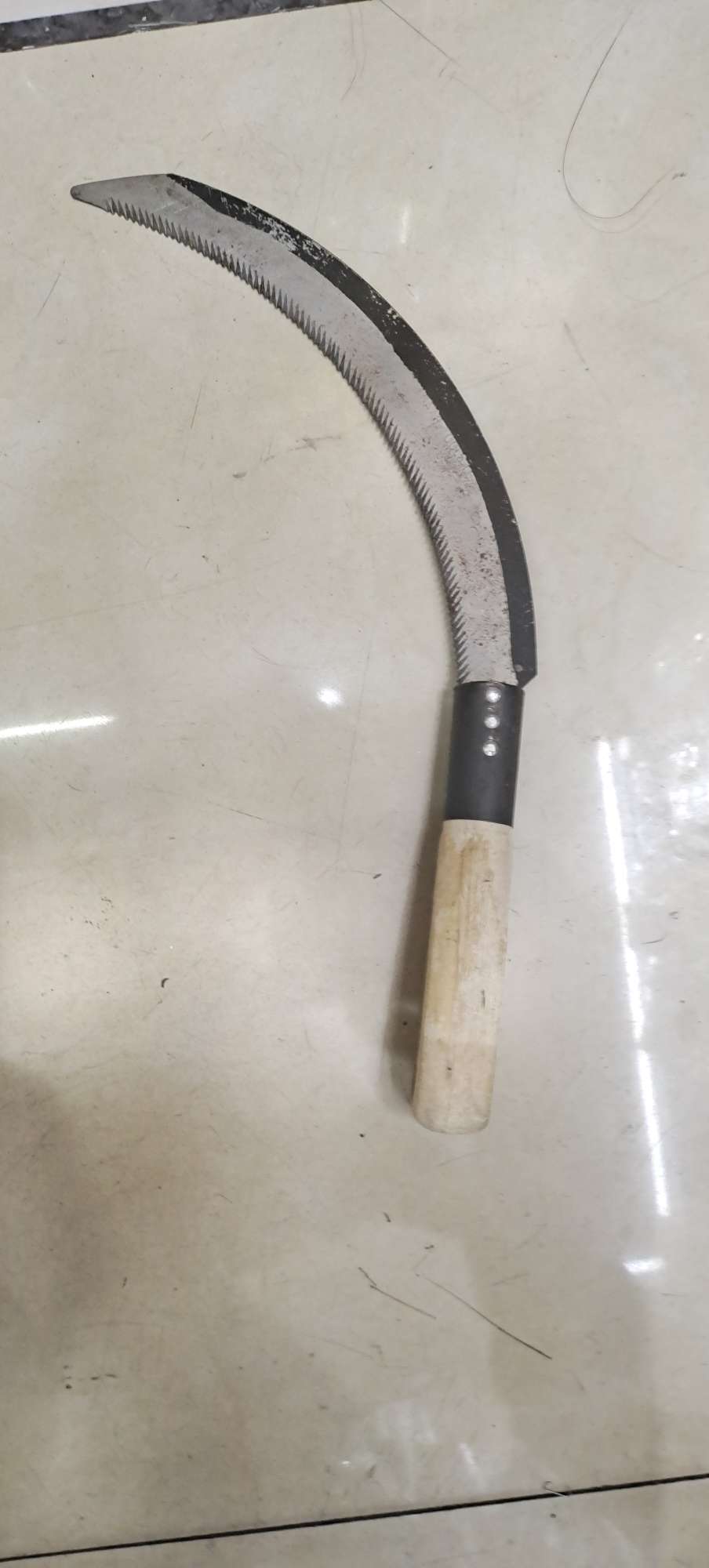 11 "sickle
