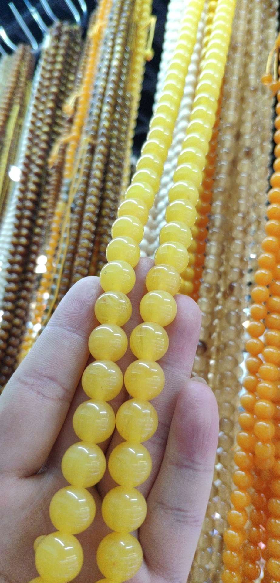108 bicolor yellow in 10 centimetres