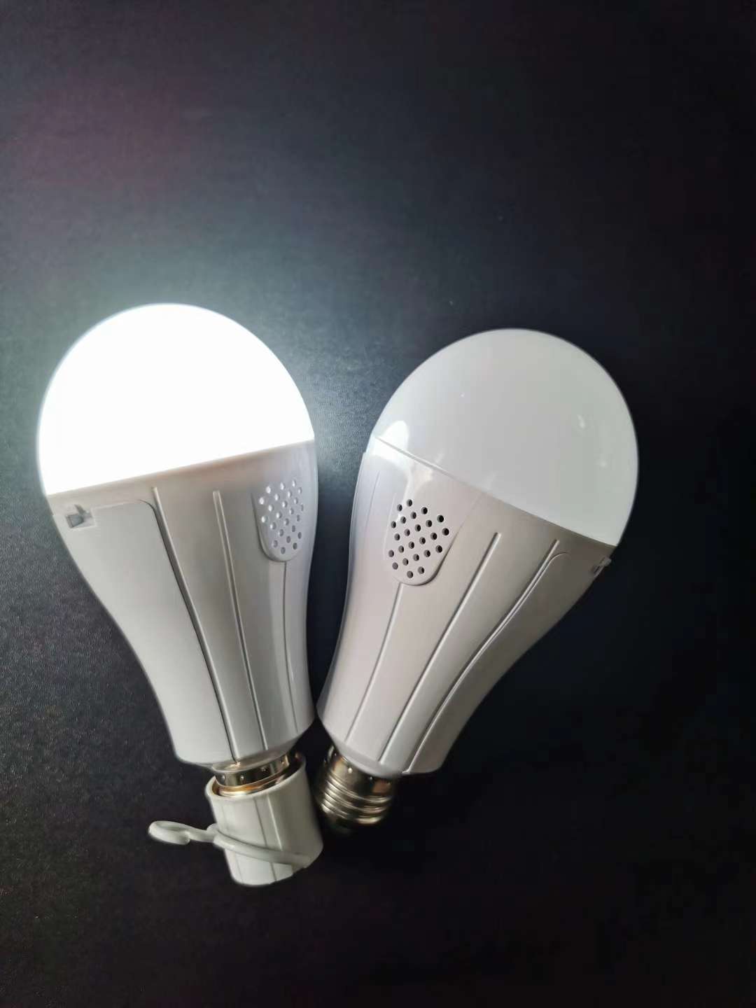 Dual Battery Emergency Light full figure