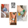 火烈鸟竹叶青花圣诞树系列女生手表 创意外贸热销卡通塑料腕表产品图