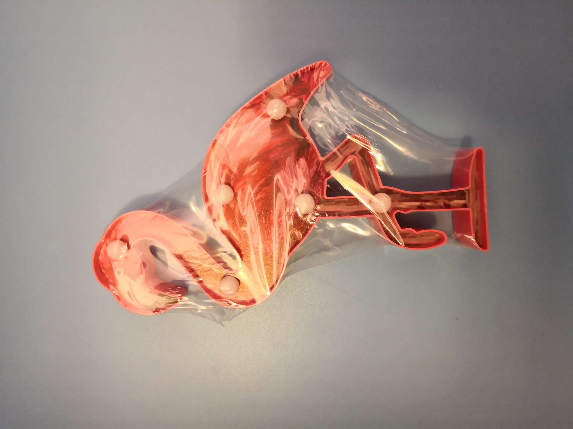 led造型灯火烈鸟详情图9