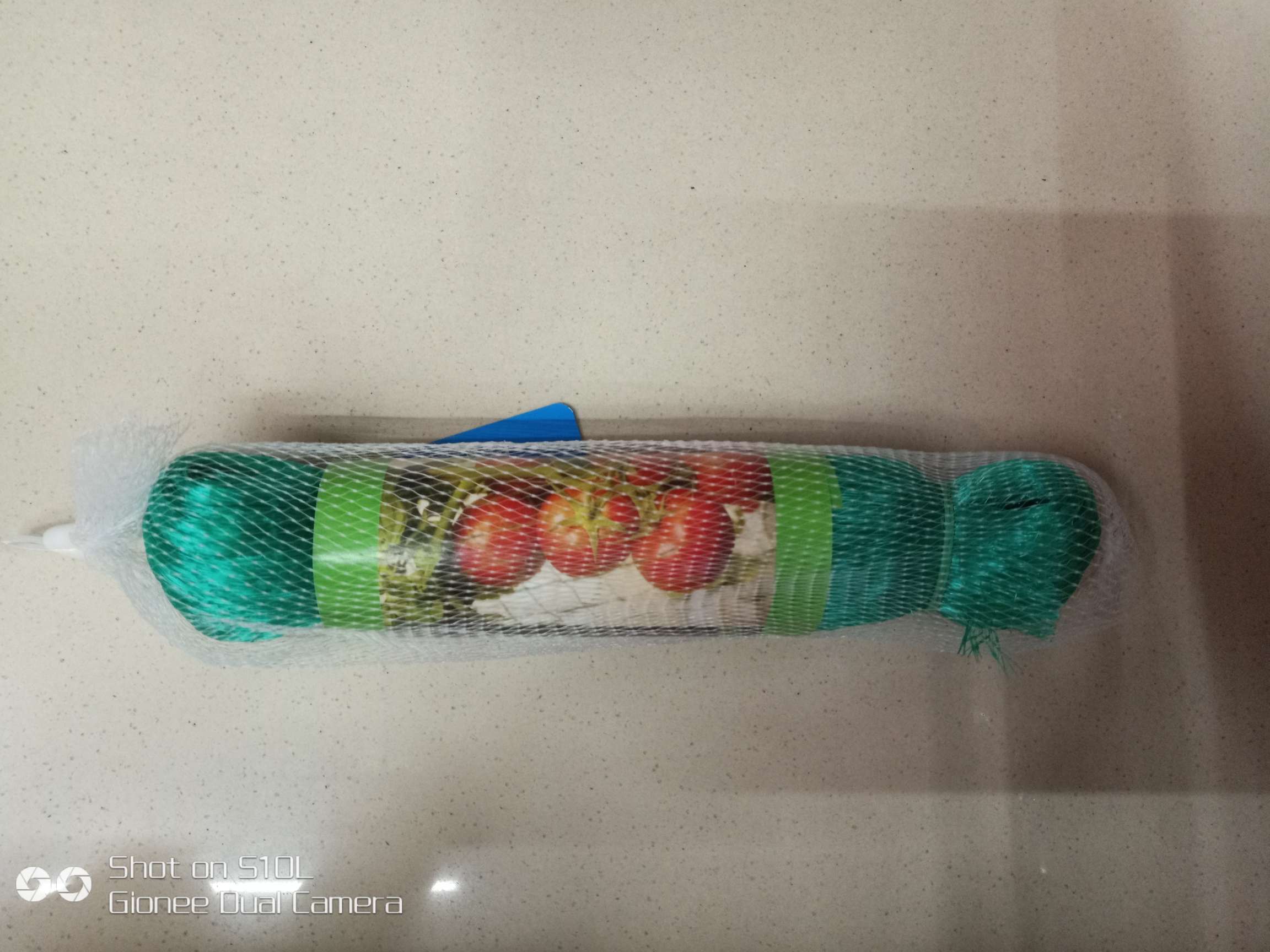 同乐塑料挤出网厂中国塑料行业的专业生产厂家

非常感谢您选择与我们合作！

全国支持小额批发、我们将全程鼎力支持。细节图