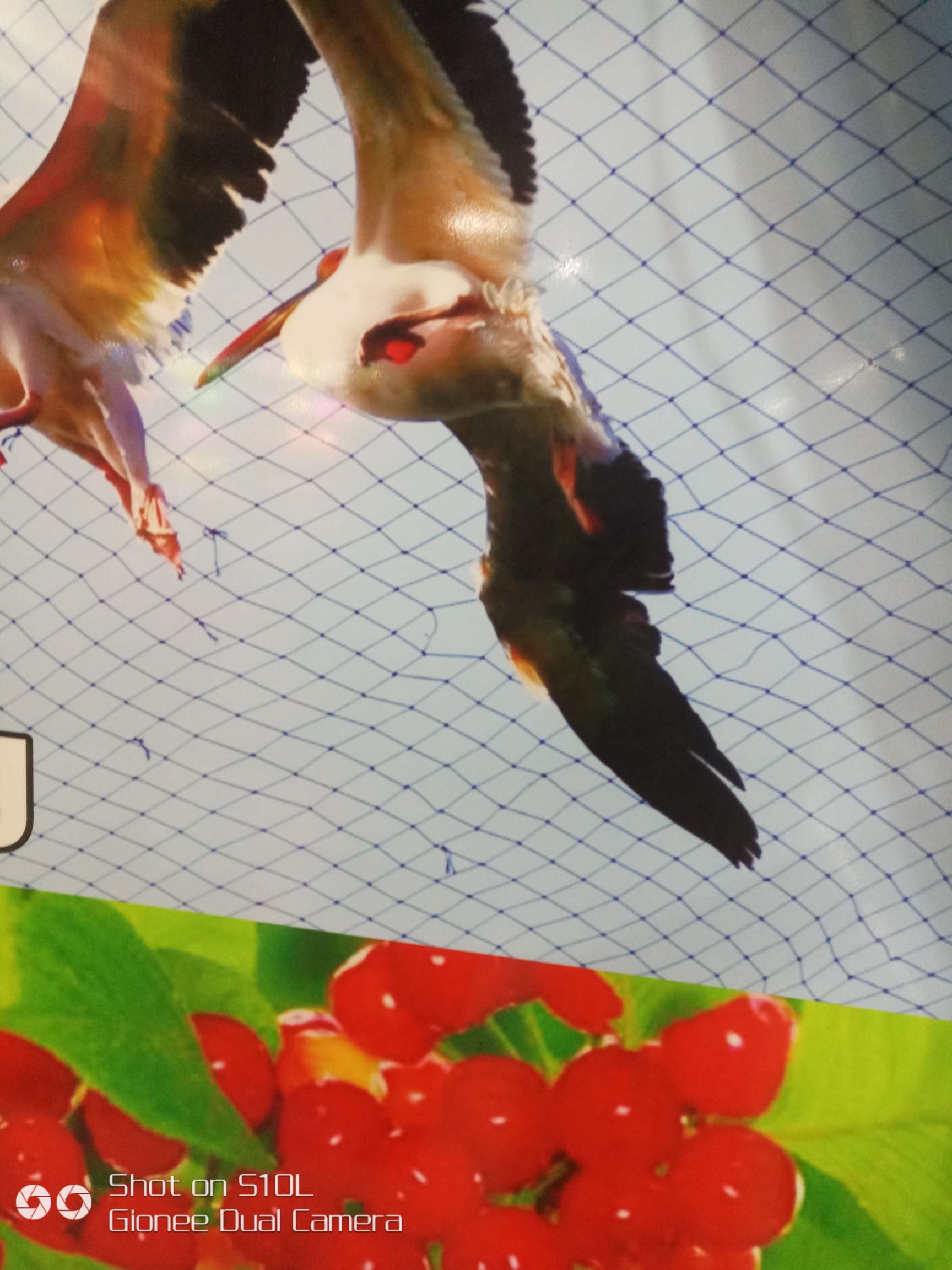 纸碗实物图