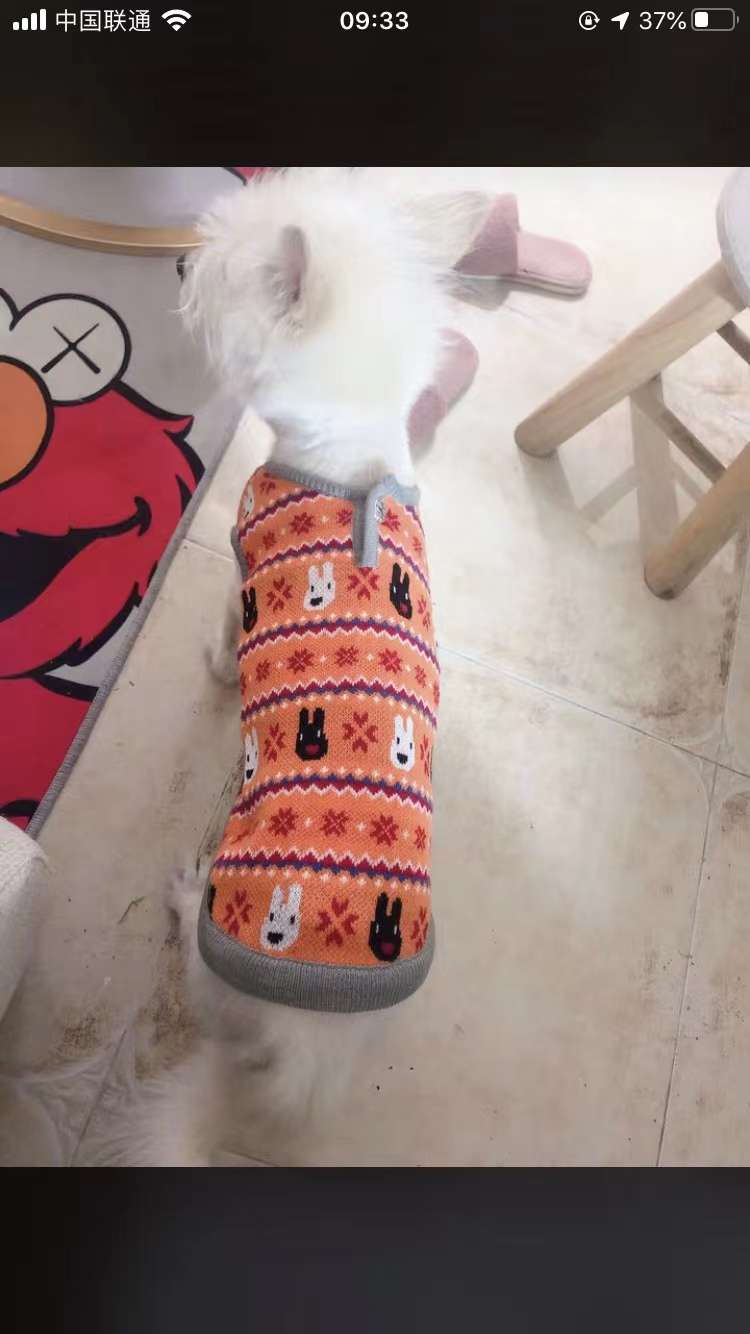 秋冬新款宠物衣服买家秀！看了喜欢就可以下单