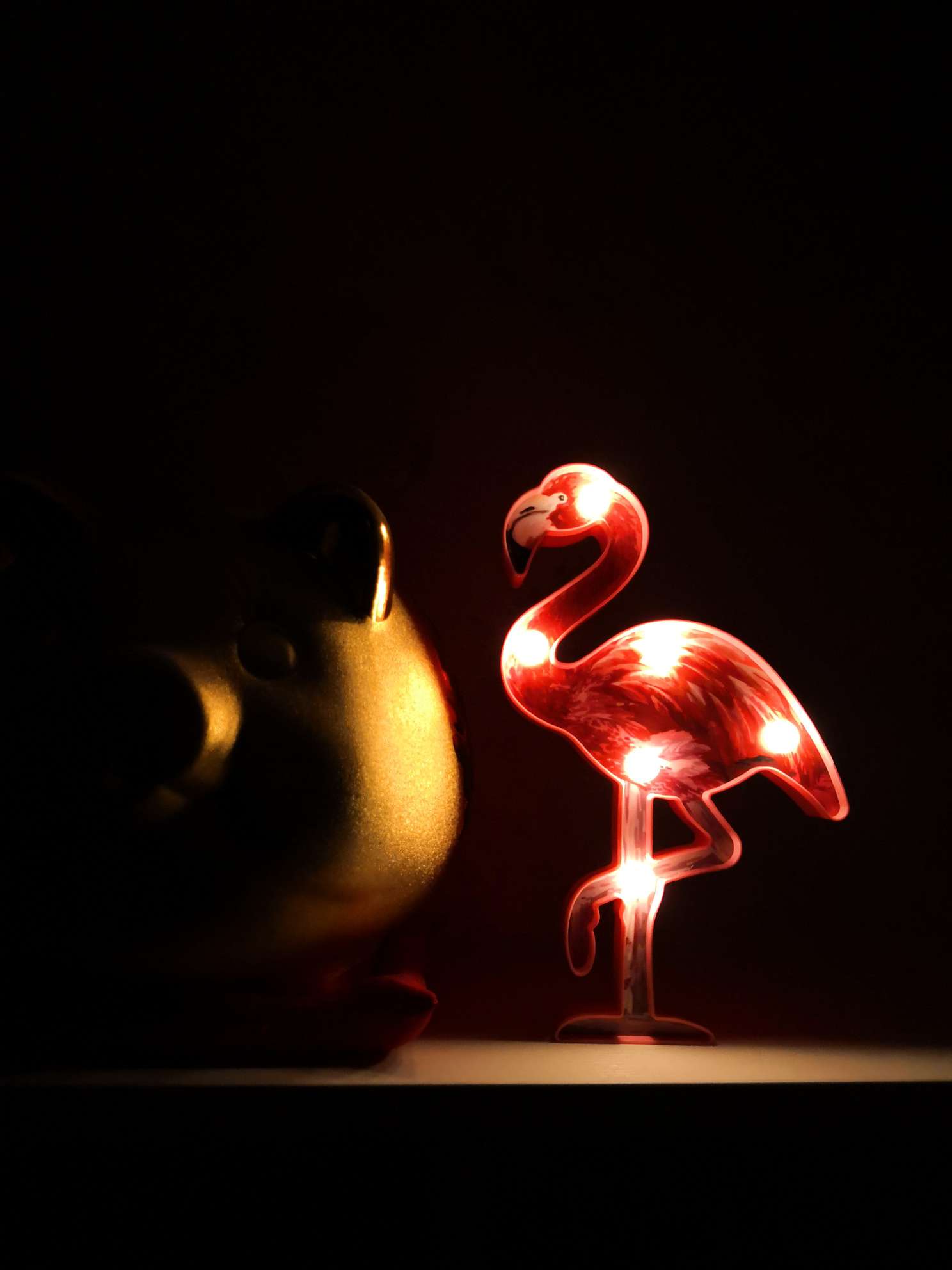 led造型灯火烈鸟详情图4