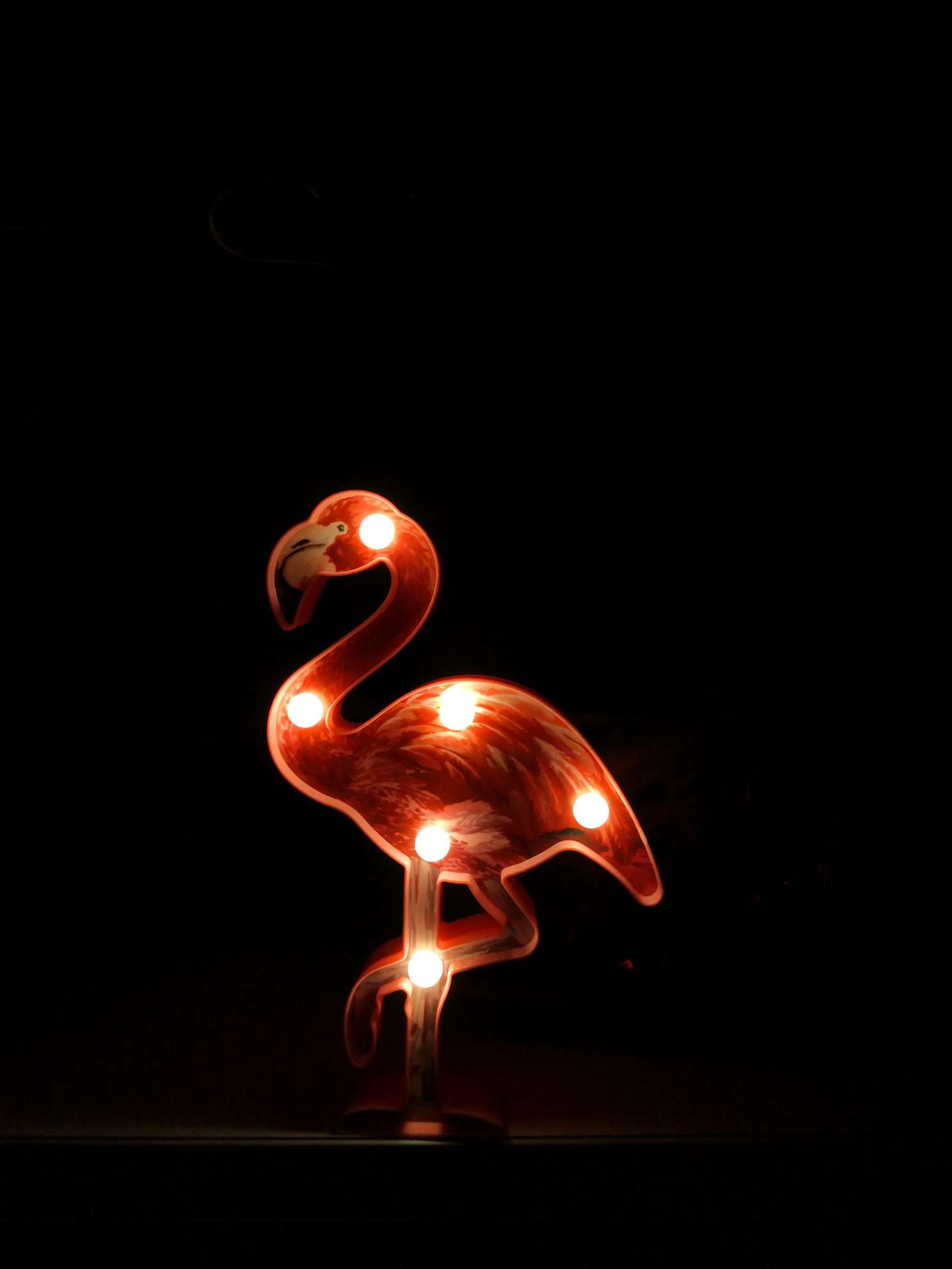 led造型灯火烈鸟详情图5