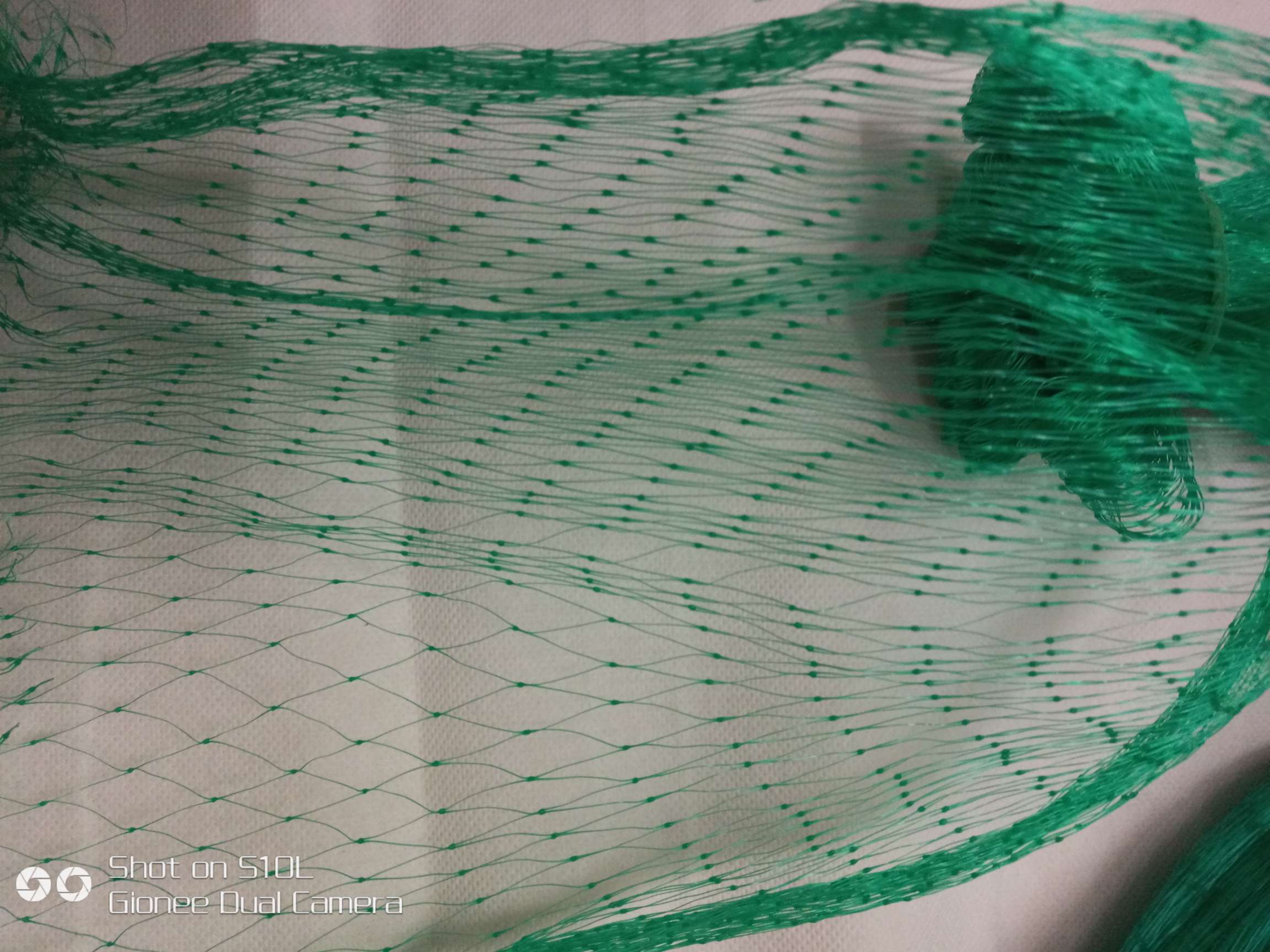 同乐塑料挤出网厂中国塑料行业的专业生产厂家

非常感谢您选择与我们合作！

全国支持小额批发、我们将全程鼎力支持。详情图6