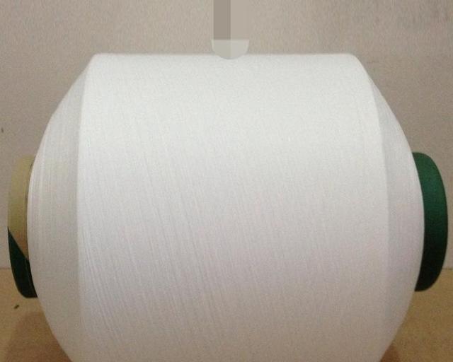 Polyester 2