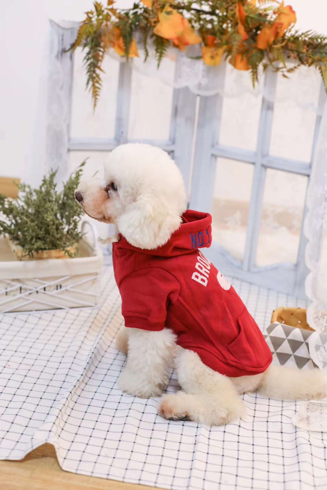 Tail single hoodie A Rui Rui upper body is also very good, this series of styles are very ok
Casual and stylish