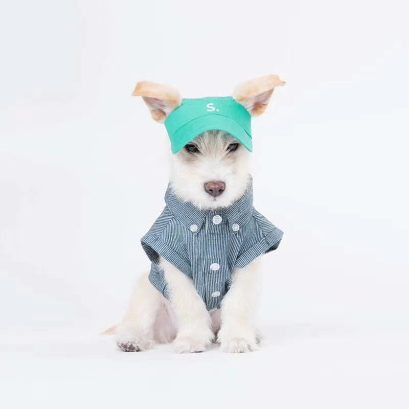 Pet babies wear sun hats, go out no matter how big the sun! Specification drawing