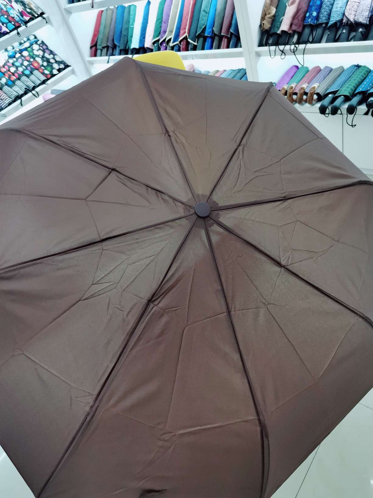 Plain-colored automatic umbrella Item Picture