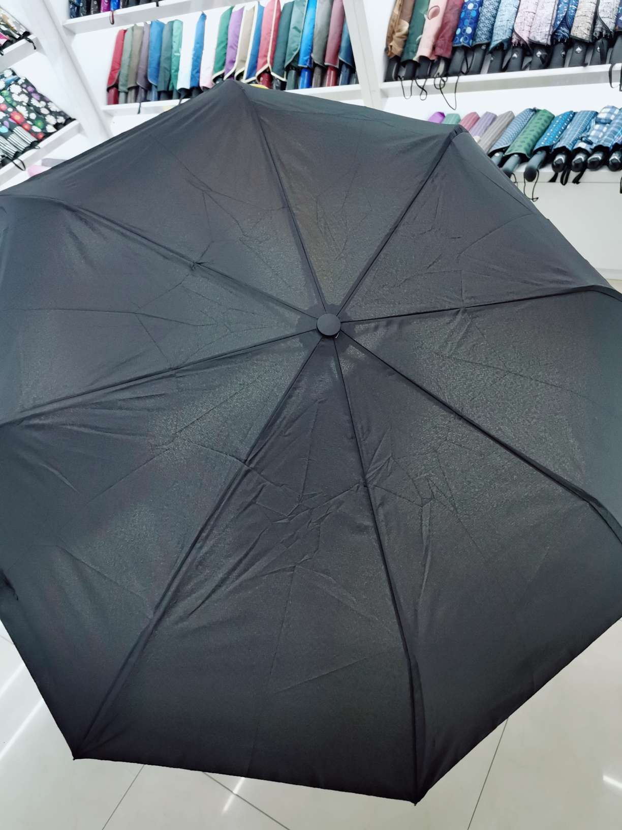 Plain-colored automatic umbrella undefined