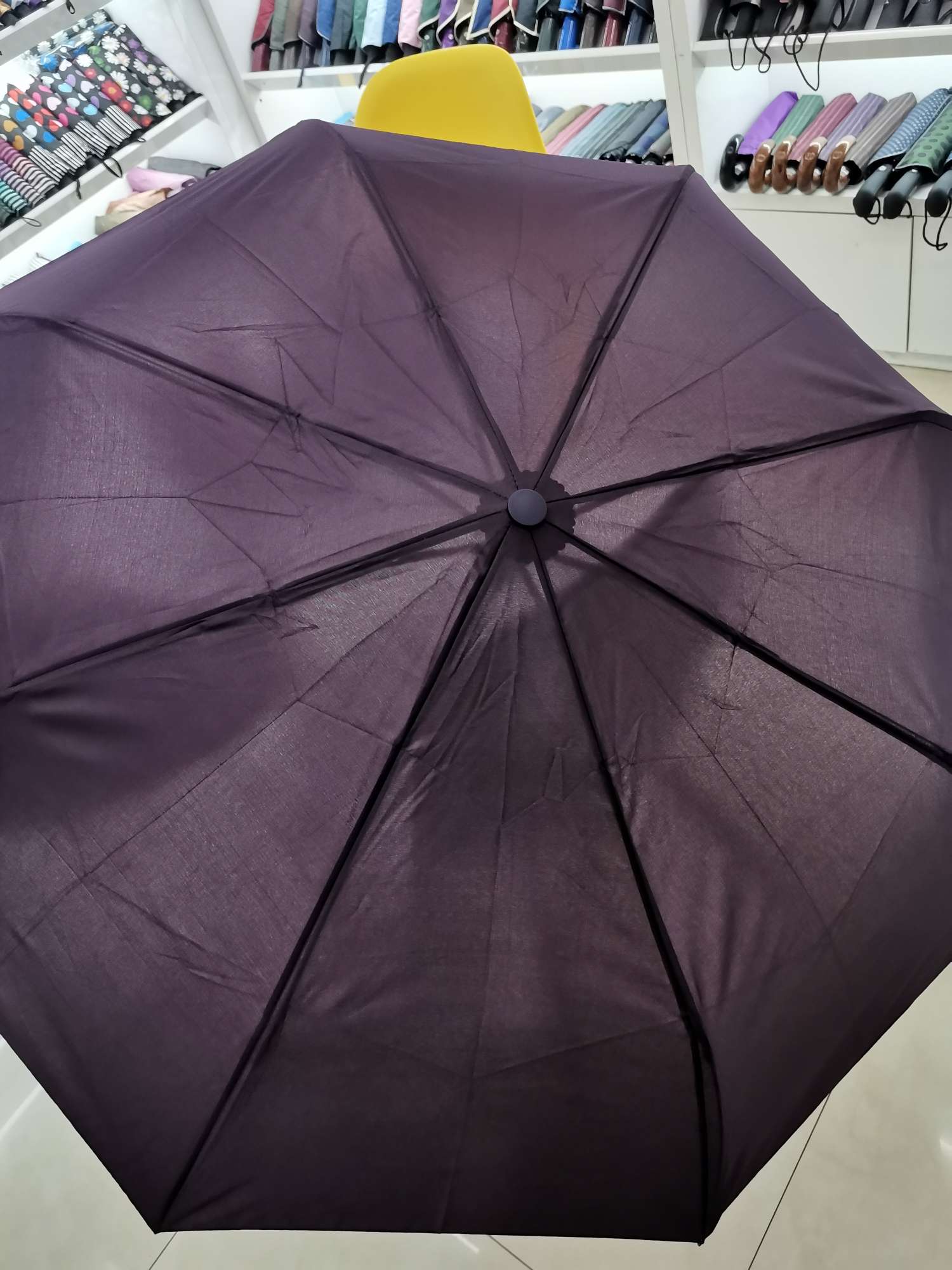 Plain-colored automatic umbrella undefined