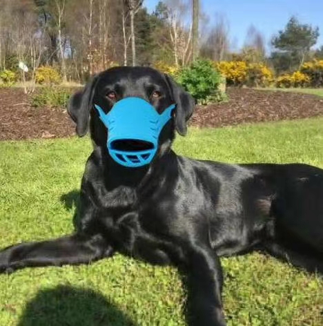 Dog muzzle, go out, child safety depends on it, food grade silicone protection! undefined