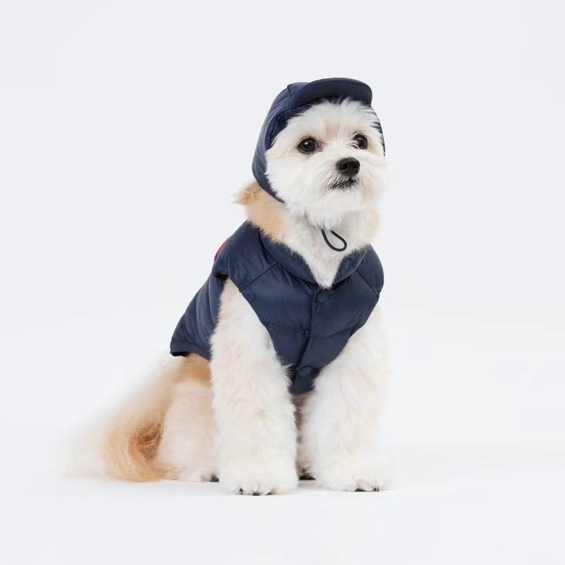 羽绒棉背心/宠物用品背心/宠物秋冬服饰白底实物图