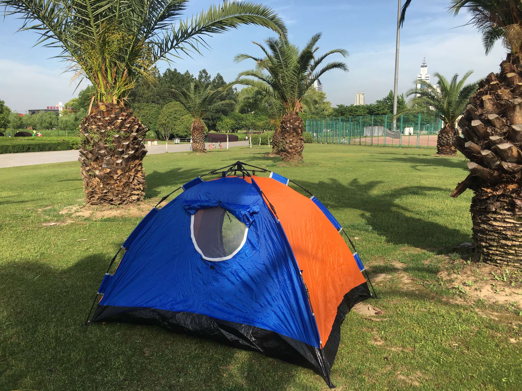 Factory direct sales of 4-person automatic single-layer tents detail image 6