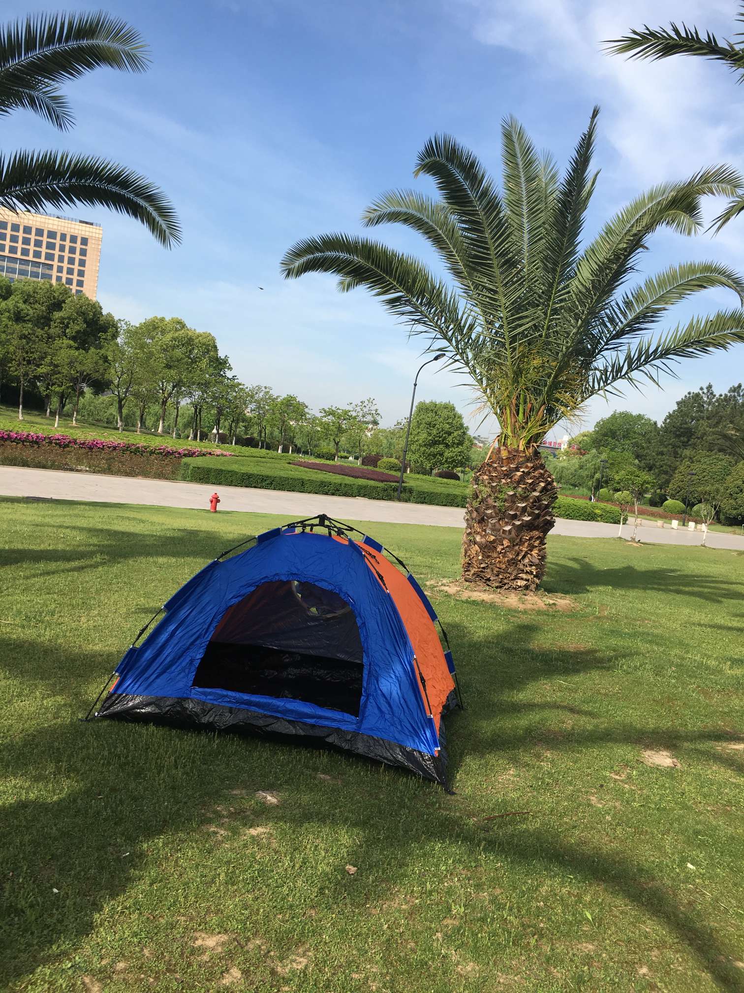 Factory direct sales of 4-person automatic single-layer tents detail image 2