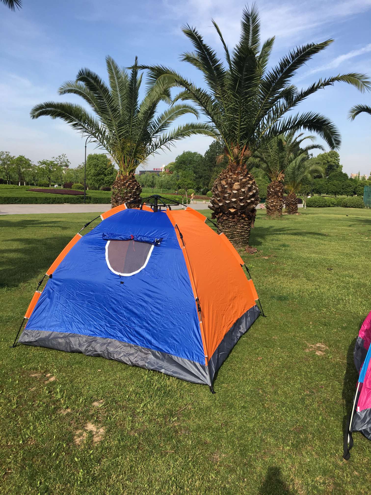 Factory direct sales of 4-person automatic single-layer tents Item Picture