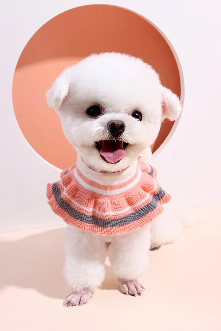 In lovely temperament this, za also is to take hold of the dead [wang Chai] of free lacing type knitting false collar, neck circumference adjustment range is more optional, two sizes, everyday wear or shoot very good-looking!