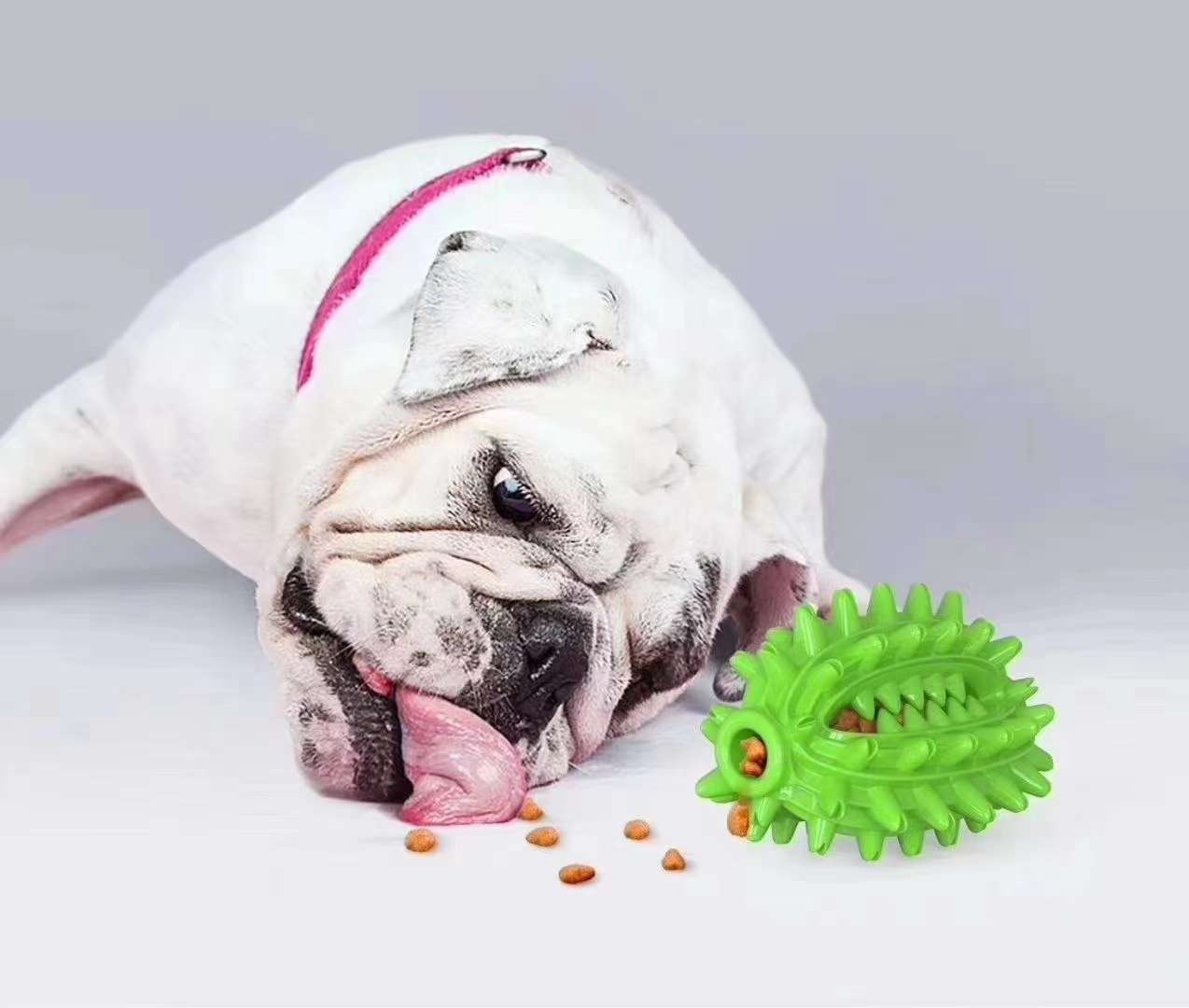 A variety of product configuration, prickly pear dog toothbrush, both ends through, can be easily matched with molar rope or suction cup, combined into a variety of configuration of dog toys, to prevent selling! The product uses me Application Scenario